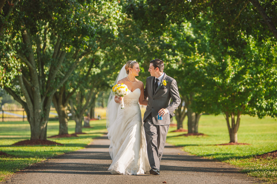 tree lined driveway south carolina ranch wedding